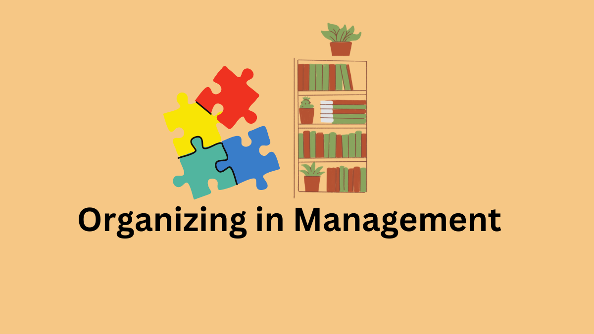 organizing in management